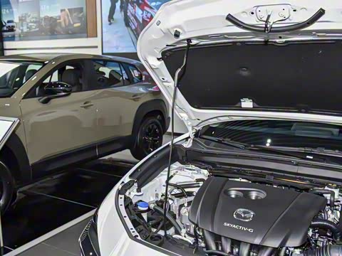 2024�� 2.0L �Զ�������