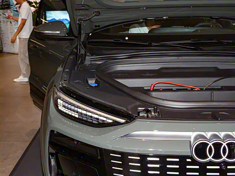 2026�� ����������