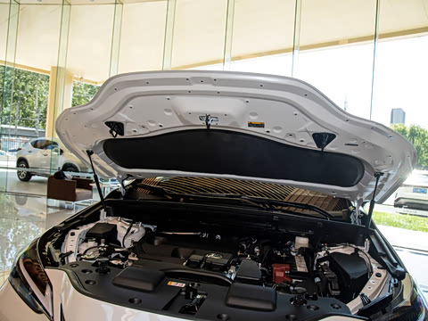 2024�� 260 ǰ�� ���ð�