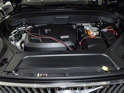 2025�� T8 ��������� 7��