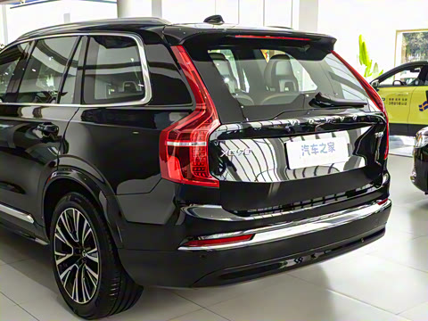 2025�� T8 ��������� 7��