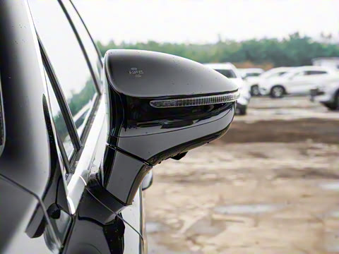 2024�� DM-i ��ҫ�� 112KM �����