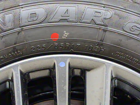 2025�� ���� 2.0L �������Ȱ�