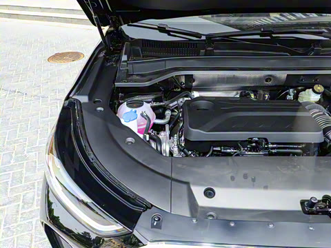 2025�� 2.0T ��������� 5��