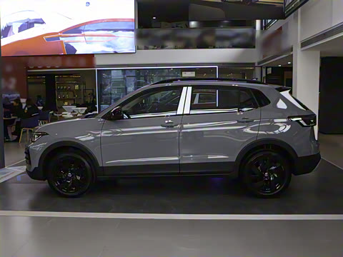 2025�� ���� 300TSI ������