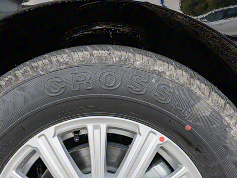 2025�� MAX 2.0T �Զ������� ���� 7��