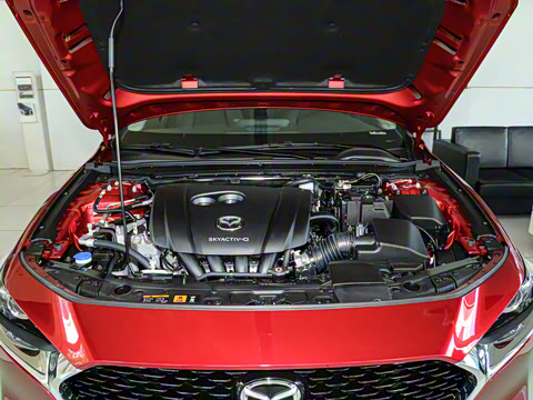 2023�� 2.0L �Զ����Ű�