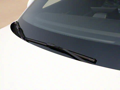 2025�� 520�ǻݰ�