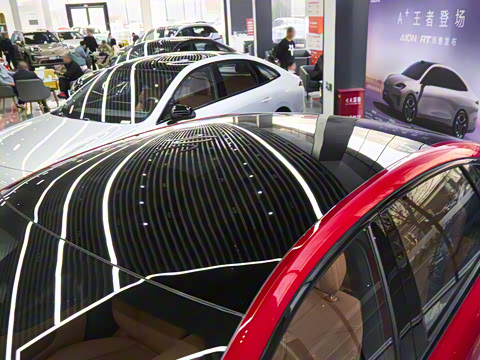 2025�� 520�Ǻ���