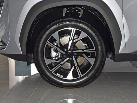 2024�� 1.5TD DCT���ڰ�