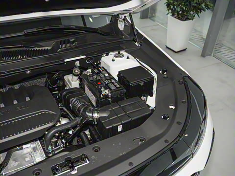 2025�� 1.5T �������Ȱ� 7��