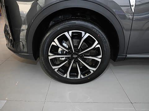 2025�� ����� 125 ��Խ��