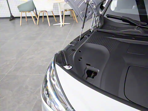 2026�� �鶯������