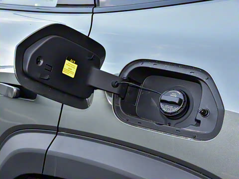 2024�� ����������