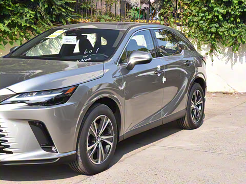 2025�� 350h ����������