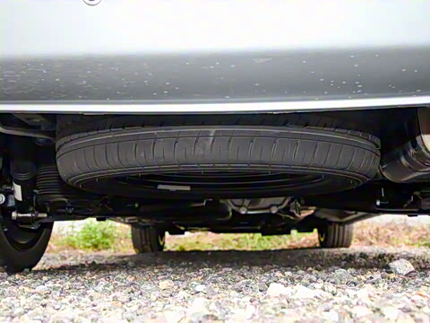 2024�� V 300 L ����������