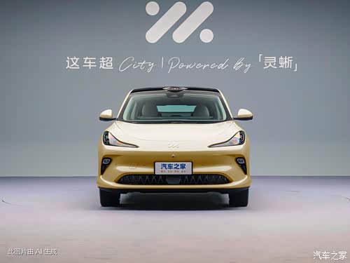 2025款 超强性能灵蜥智享版