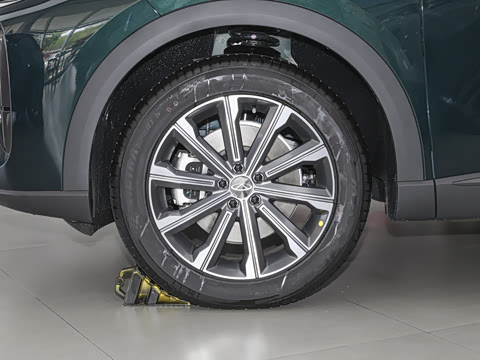 2025�� 120 ������������� 5�� �������