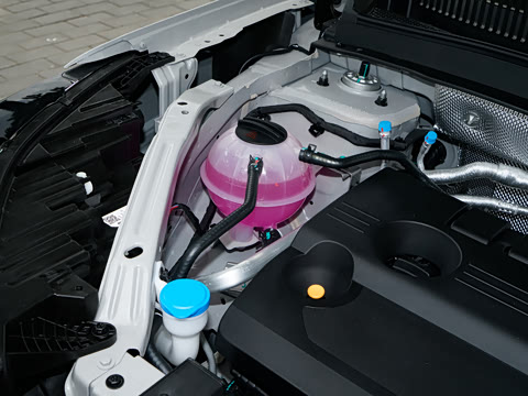 2025�� 290TGDI DCT�˷�� 