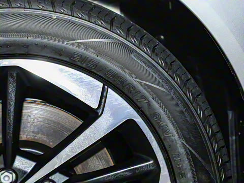 2024�� Younger ��ҫ��