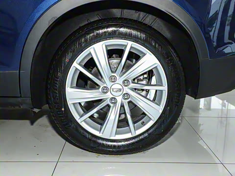 2023�� 25T ������