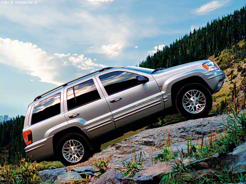 �������� ����ŵ��