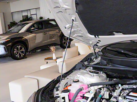 2025�� 615 Pro��