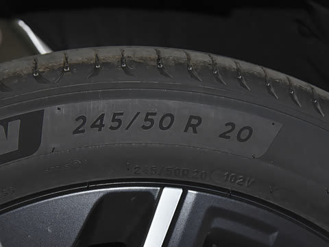 2025�� 825 Max��