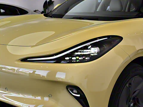 2025�� �������������Ǽݰ�