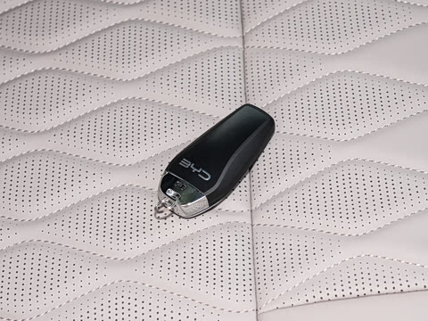 2025�� DM-i 175KM �캽��