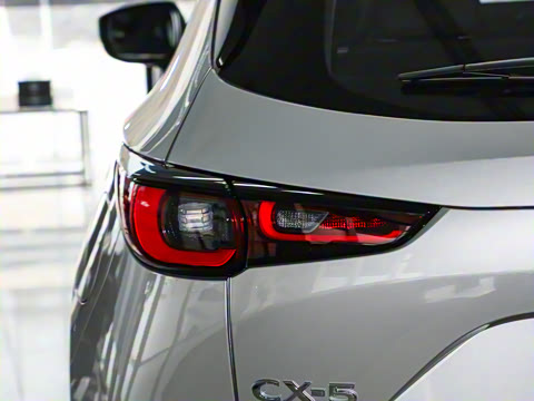 2024�� 2.0L �Զ�����������