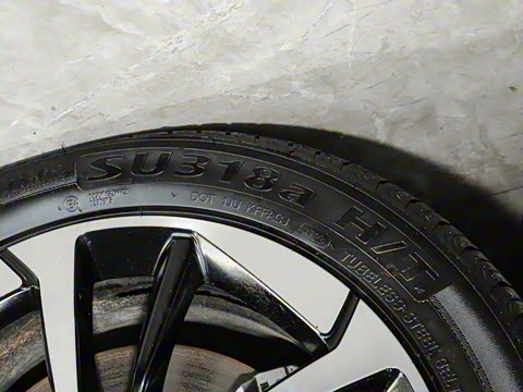 2023�� Younger ��ҫ��