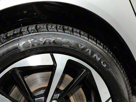 2023�� Younger ��ҫ��