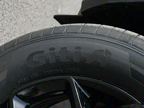 2025�� 501KM ����Max��