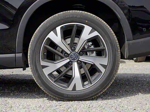 2025�� �ڶ��� �Ǽݰ� DM-i 115KM׿Խ��