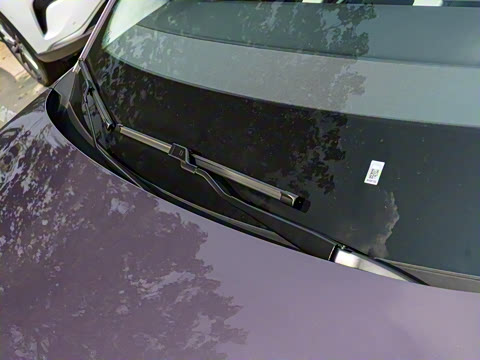 2025�� 650������