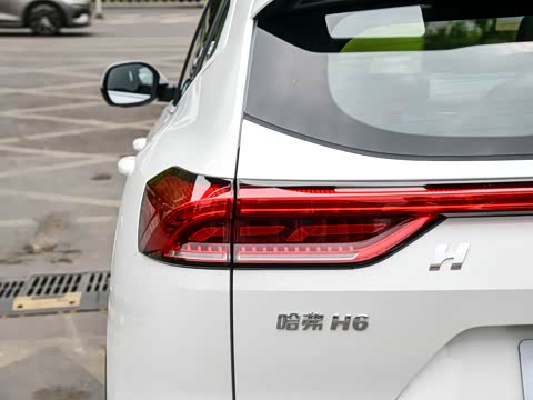 2025�� 1.5T �����ھ���