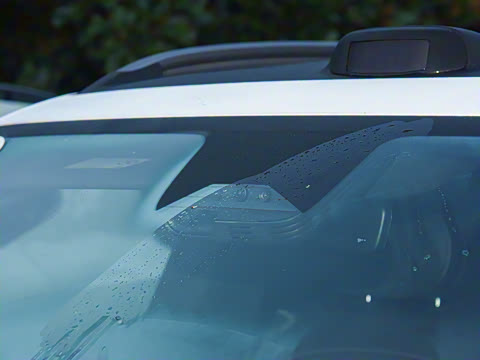 2025�� ������������������