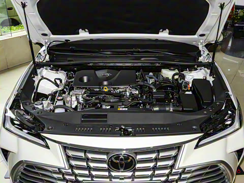 2024�� ˫�� 2.0L ����