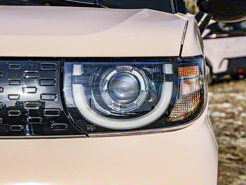 2025�� 155km ʥ����