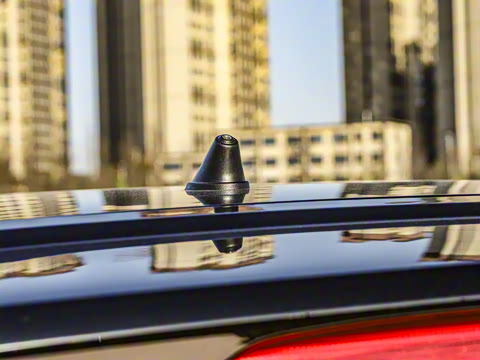 2025�� 155km ʥ����