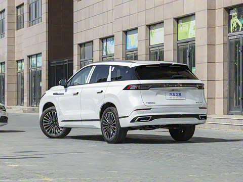 2025�� 2.0T ˫������������� 5��