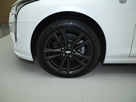 2023�� 28T ������