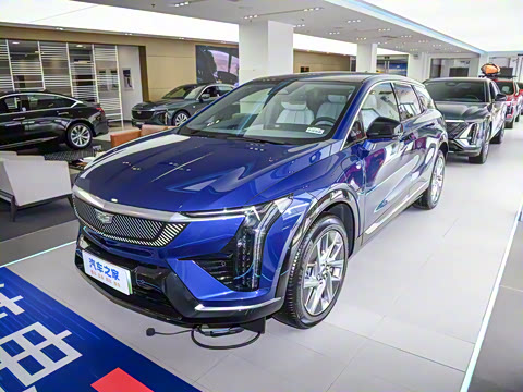 2024�� ������������