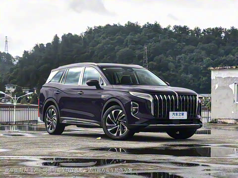 2024�� 2.0T PHEV �����쳩�� 7��