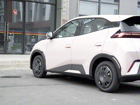 2025�� 305km ������