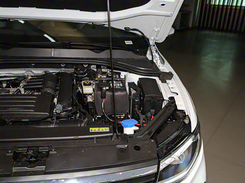 2025�� 280TSI DSG���а�