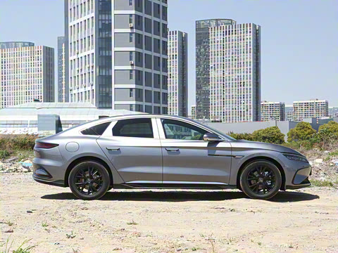 2025�� DM-i �Ǽݰ� 125KM��Ӣ��