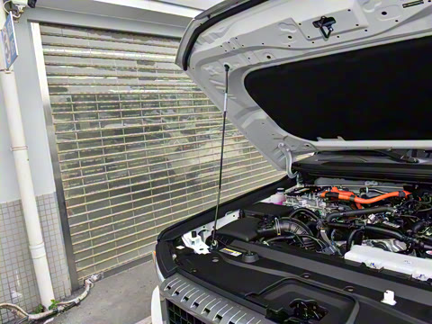 2024�� 2.4T ȫ��TX�� 5��