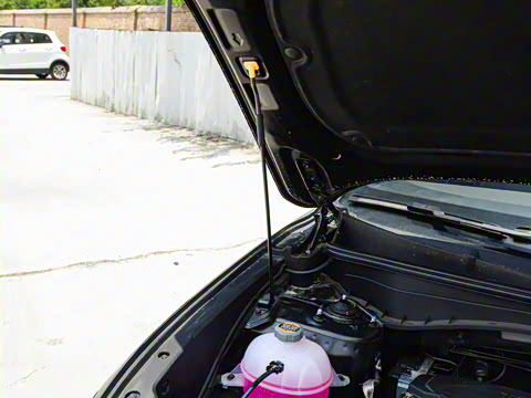 2025�� ;ʤL 1.5T ��Ӣ�� N-Line